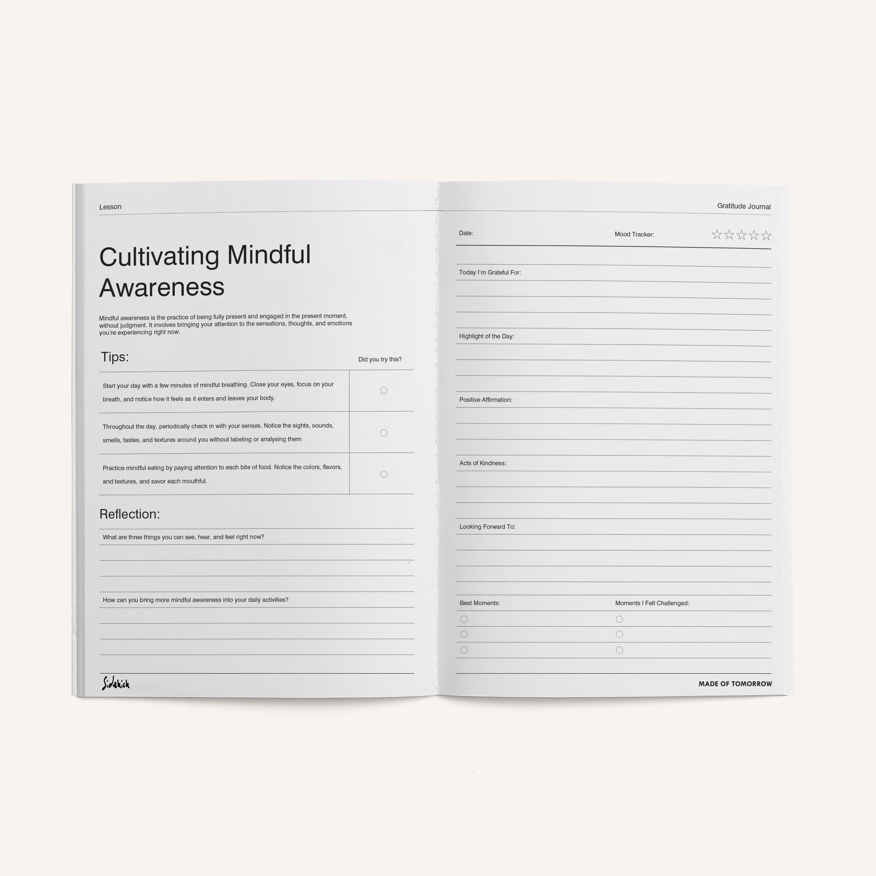 Gratitude Journal