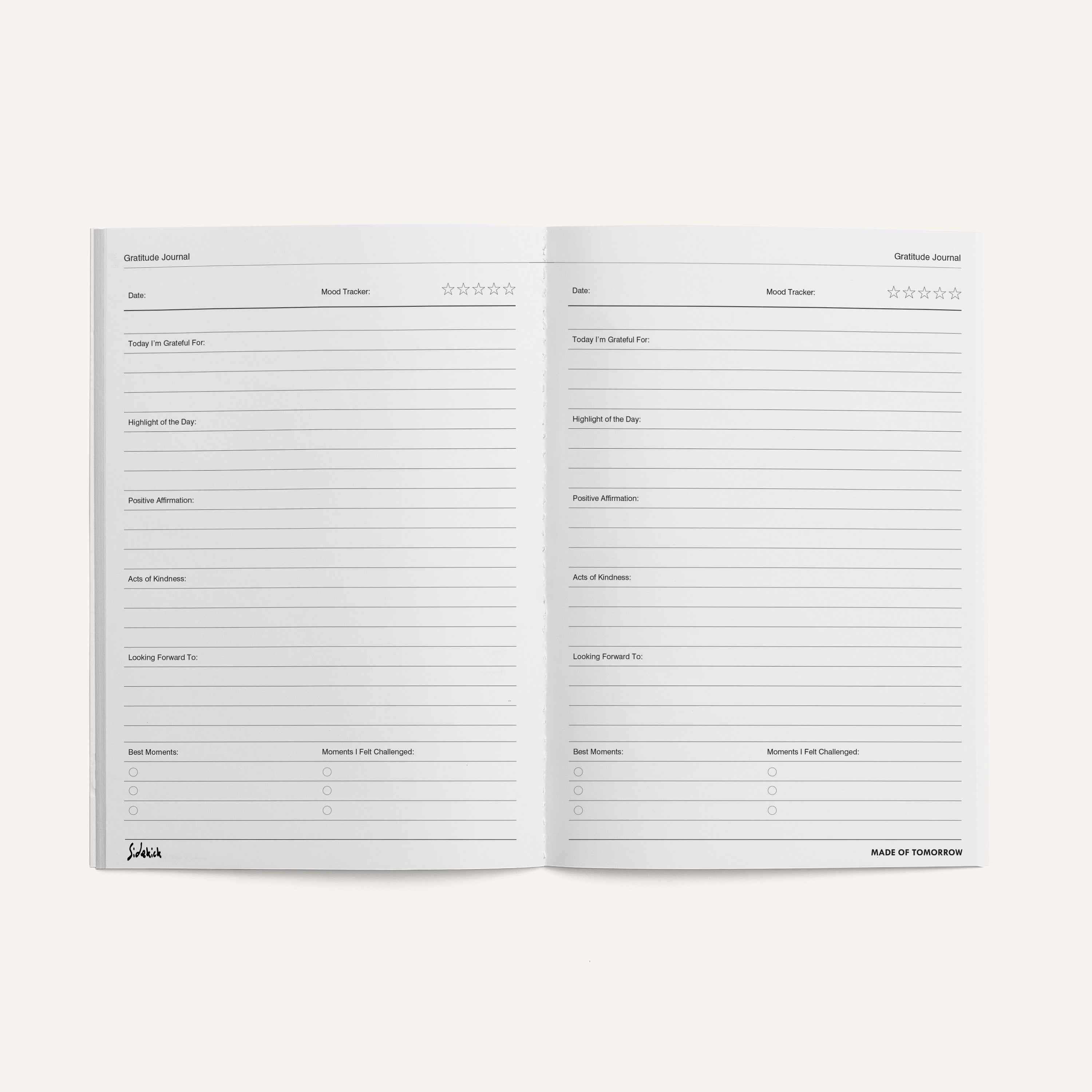 Gratitude Journal