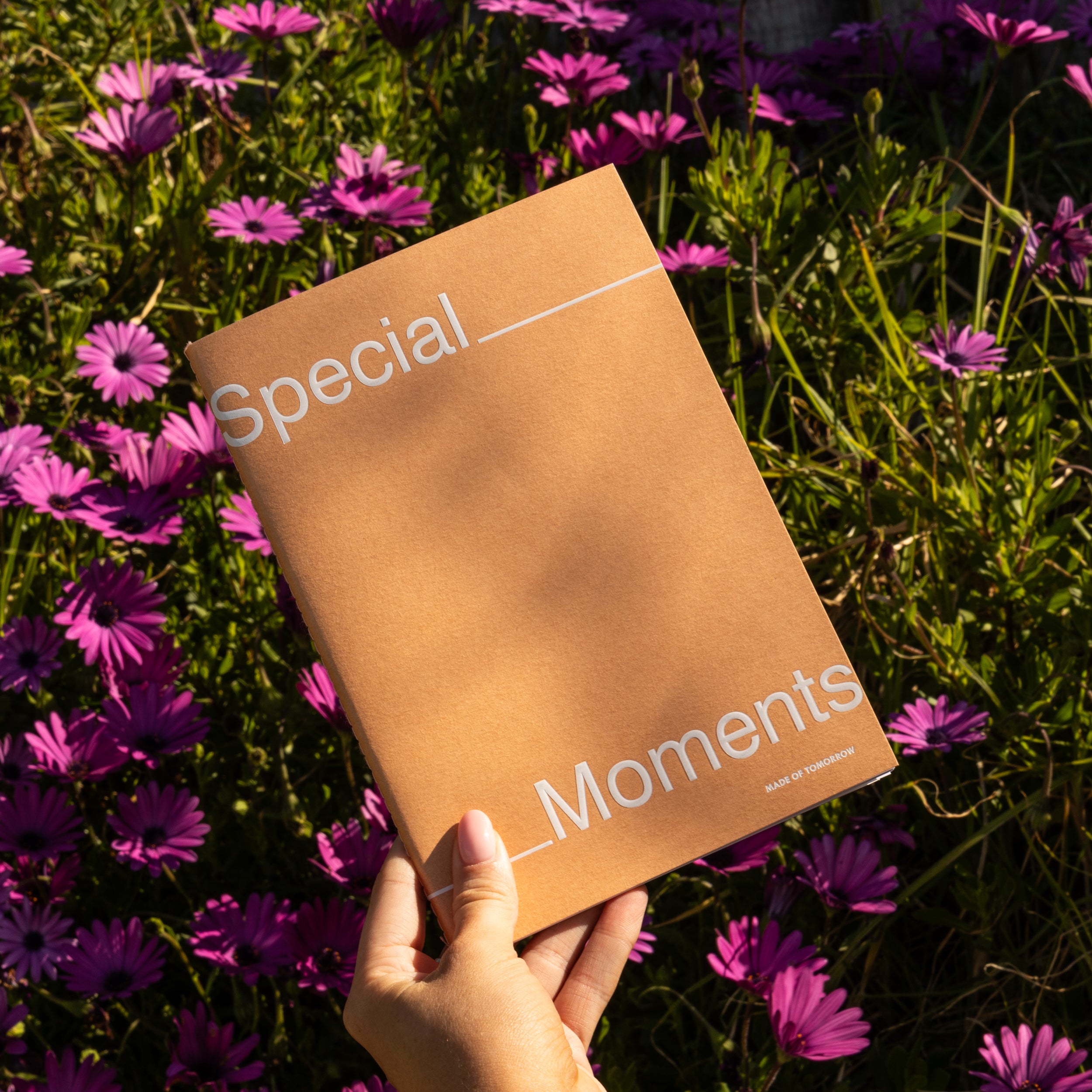 Special Moments
