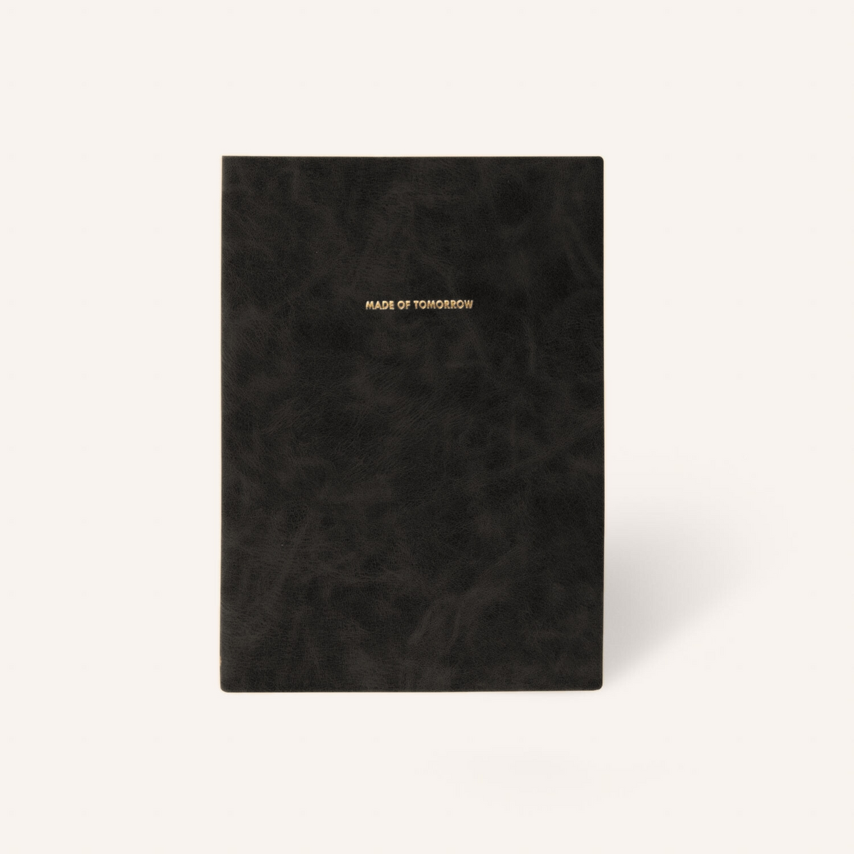 Visual Notebook — Onyx